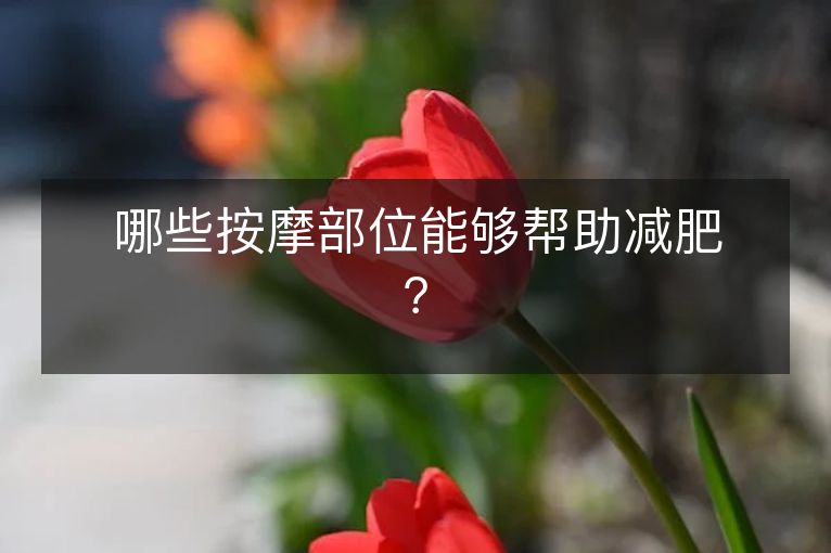 哪些按摩部位能够帮助减肥? 哪些按摩部位能够帮助减肥?